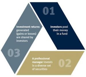 Yatırım Ortaklığı Çeşitleri
