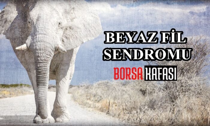 Beyaz Fil Sendromu