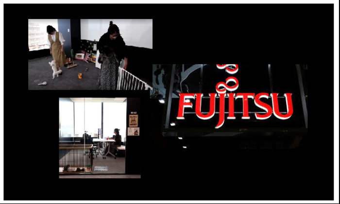 Fujitsu Köpek Ofis Modeli